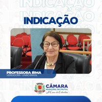 Em indicação, vereadora Irma pede inclusão de musicoterapia para tratamento de síndromes e transtornos