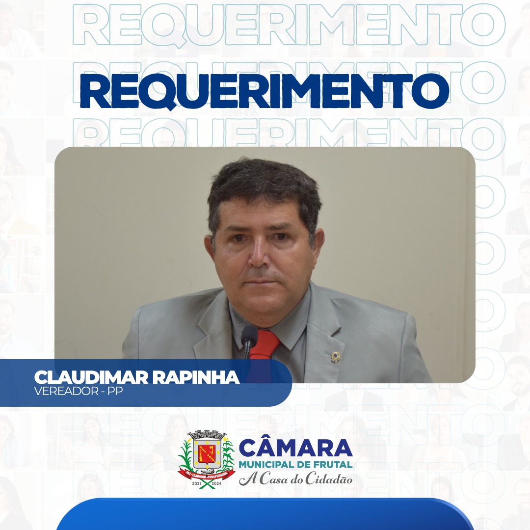 Em requerimento, Rapinha cobra providência da Prefeitura quanto aos buracos na cidade