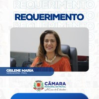 Em requerimento, vereadora Gislene pede laudos sobre condições de trabalho dos servidores públicos