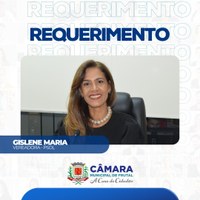 Envio de balancete da Fundação Frei Gabriel é solicitado em requerimento pela vereadora Gislene Maria