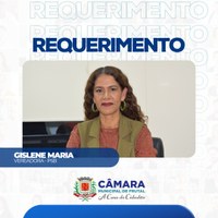 Gislene Maria requer informações sobre empresa responsável pelos serviços públicos de limpeza urbana