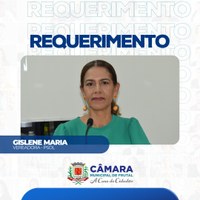 Gislene Maria solicita ao Executivo relatório sobre valor da taxa de contribuição de iluminação pública