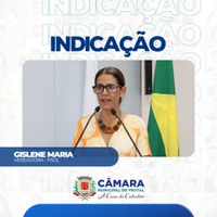 Gislene quer obrigatoriedade de instalação de lixeiras em projetos de edificação