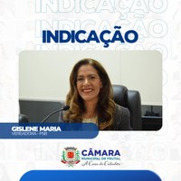 Instalação de pontos de coleta seletiva em órgãos públicos é solicitada em indicação da vereadora Gislene