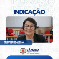 Professora Irma sugere programa de inclusão digital para idosos em Frutal