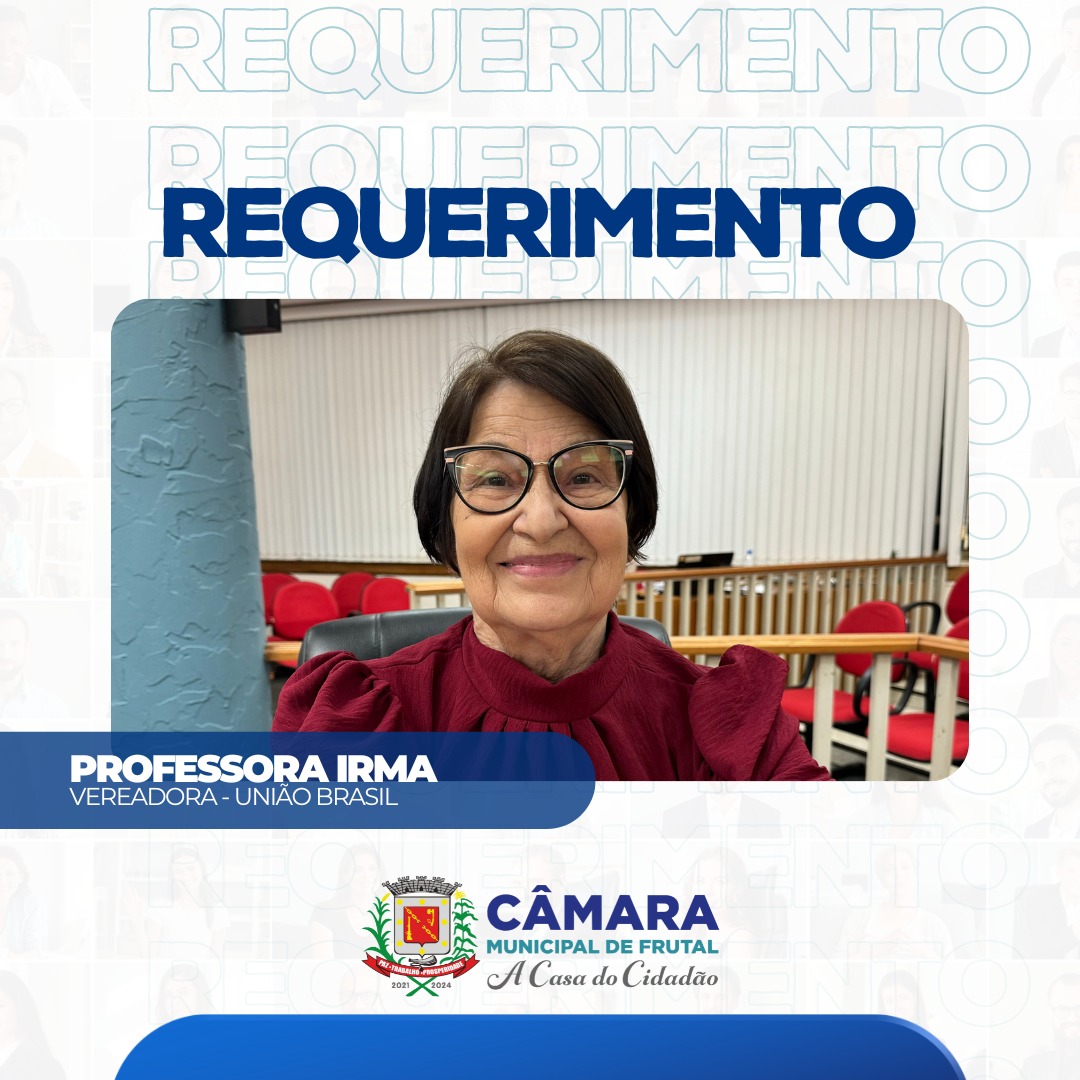 Vereadora Irma procura informações sobre leis municipais relacionadas a violência doméstica