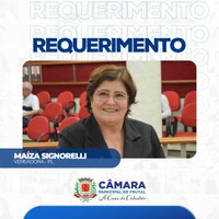 Maíza Signorelli reforça pedido de informações sobre construção de travessia elevada na Avenida Marechal Deodoro