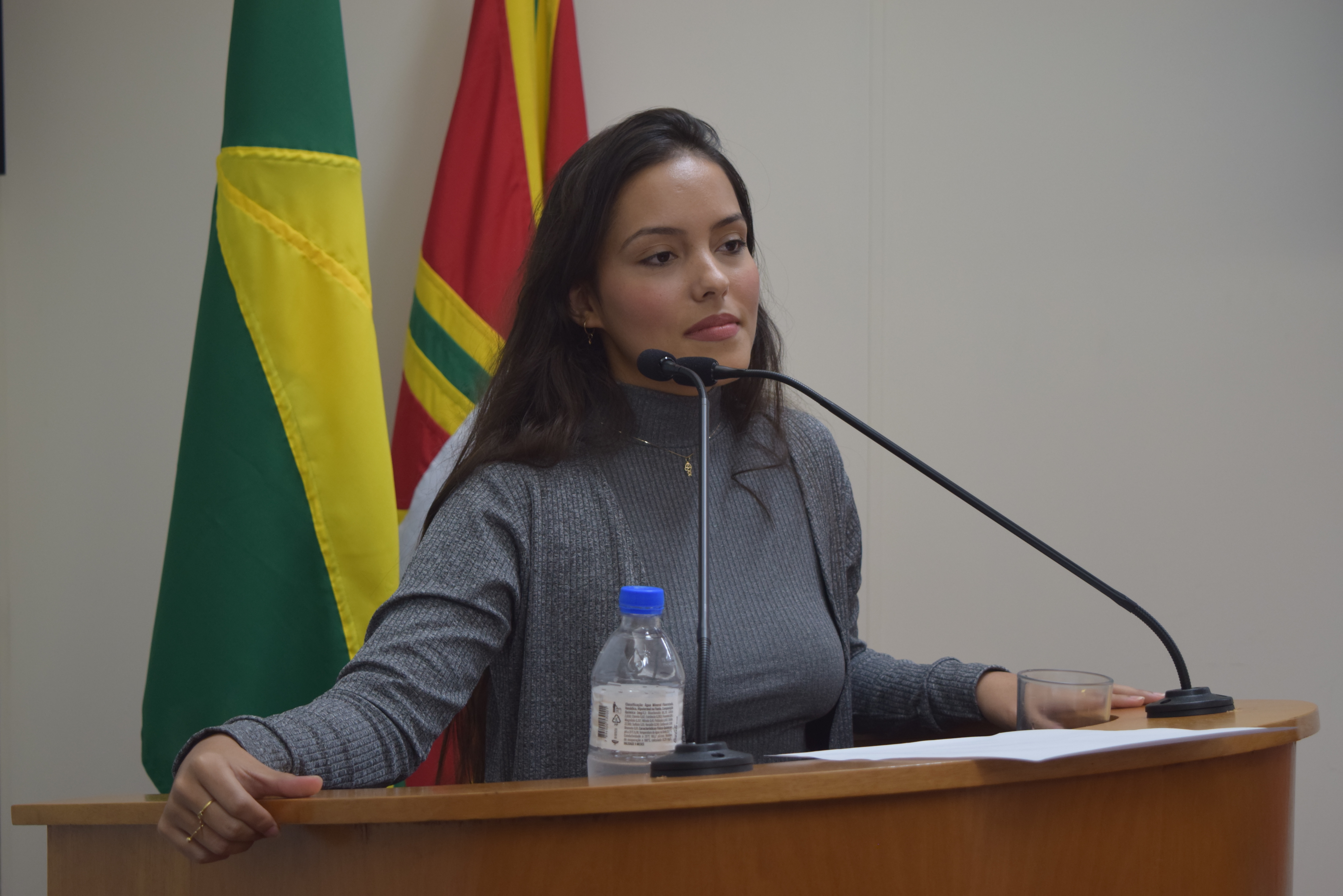 Na tribuna da Câmara, secretária Paula Martins presta esclarecimentos sobre a pasta da assistência social