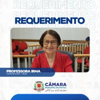 Professora Irma cobra segurança em instituições públicas e praças da cidade