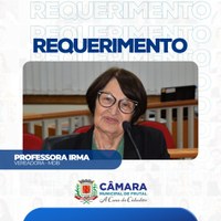 Professora Irma solicita informações sobre falta de fraldas geriátricas à Secretaria de Assistência Social