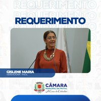 Requerimento da vereadora Gislene Maria busca informações a respeito de limpeza das ruas e falta deste serviço em bairros da cidade