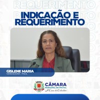 Vereadora Gislene Maria cobra a reposição de grelhas em bueiros do calçadão para evitar acidentes