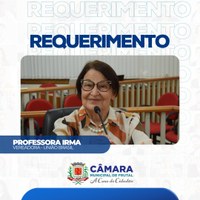 Vereadora Irma faz questionamentos sobre problemas no distrito de Aparecida de Minas