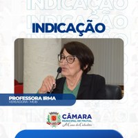 Vereadora Irma quer análise técnica de árvores antigas da cidade para evitar perigo às pessoas e bens materiais