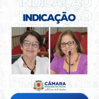 Vereadoras Irma e Vaininha querem providências quanto a demandas feitas por moradores de bairros situados próximos às áreas de APP´s