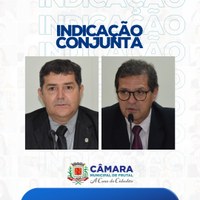 Vereadores Rapinha e Jarbinhas pedem em conjunto adesivação de veículos da Câmara